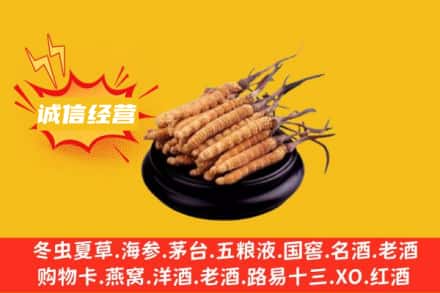 东莞市石碣镇回收冬虫夏草
